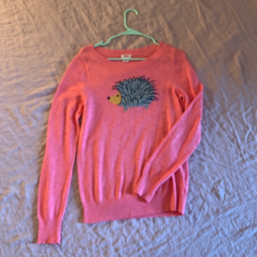 Pink porcupine / hedgehog sweater